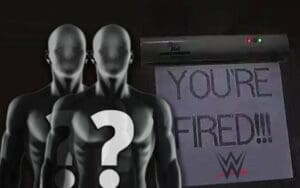 Released WWE Superstars Already Have Big Interest Elsewhere