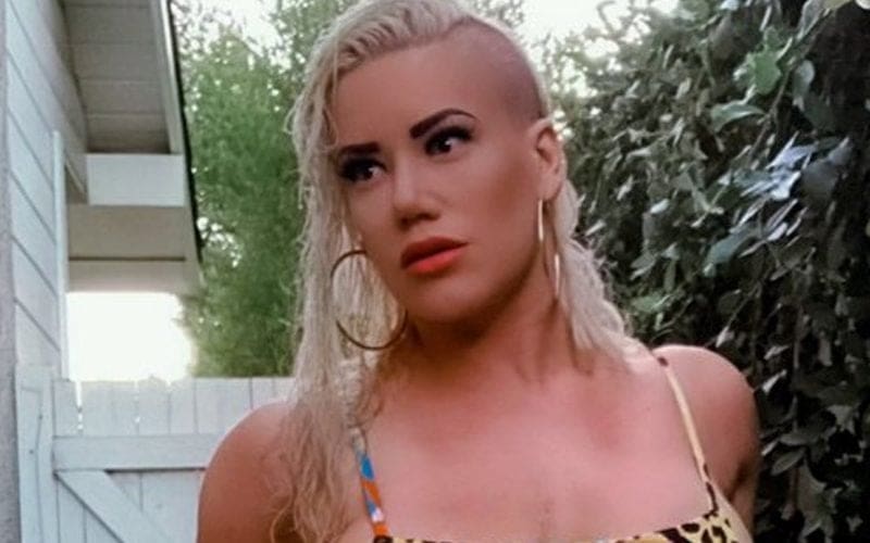 Taya Valkyrie Upset About Never Getting To Work With Triple H & Shawn Michaels