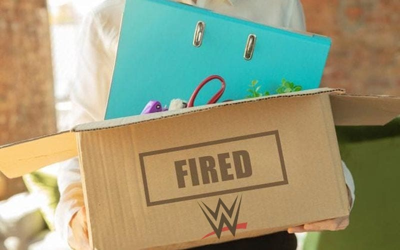 WWE Releases Senior Vice President Sarah Cummins From Company