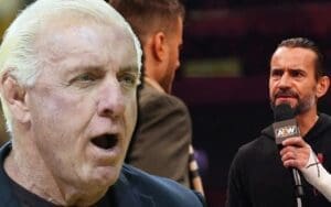 Ric Flair Criticizes CM Punk & MJF Promo For Bringing Up WWE Ric Flair Criticizes CM Punk & MJF Promo For Bringing Up WWE