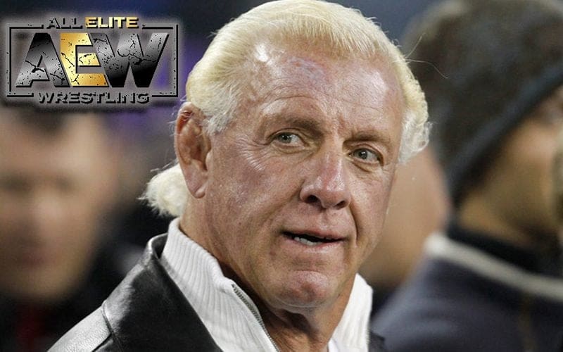 Ric Flair Called Out For Trying To Get Hired By AEW