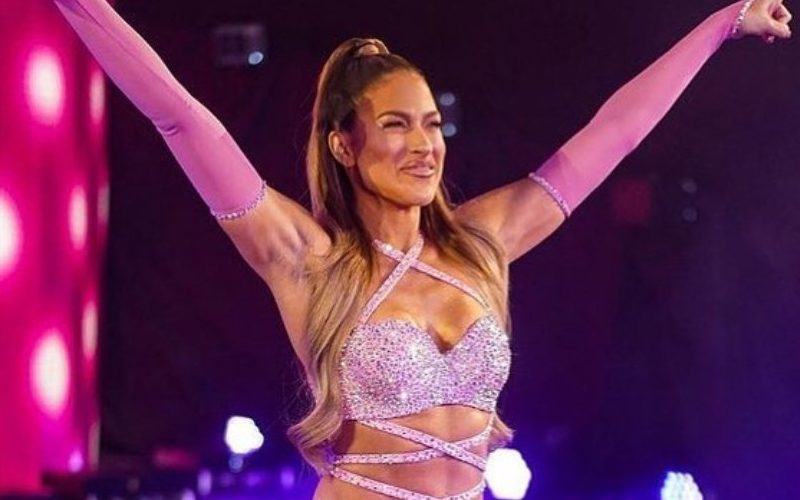 Kelly Kelly Claps Back At Fan Accusing Her Of Having Work Done