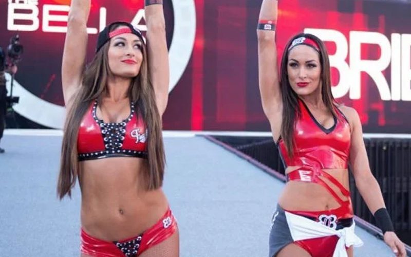 Fans React To The Bella Twins’ WWE Royal Rumble Return