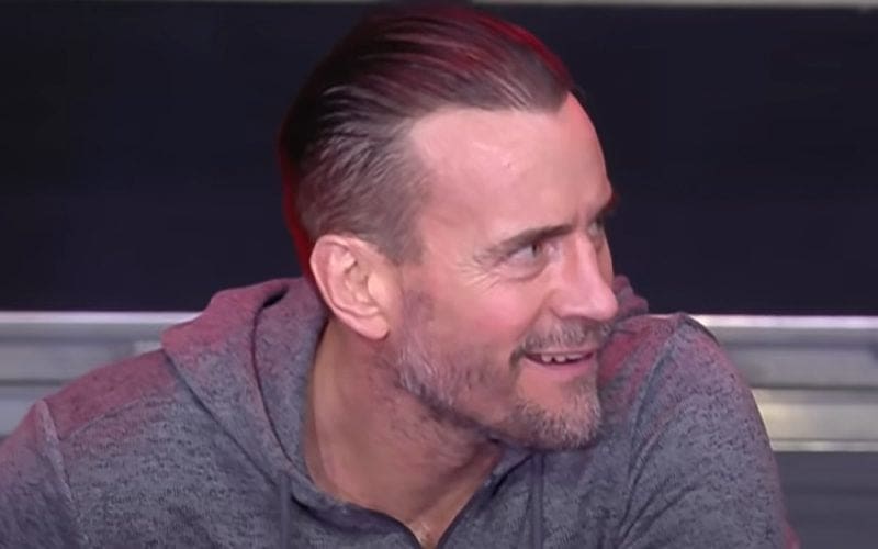 CM Punk Wants To Go After The AEW World Title