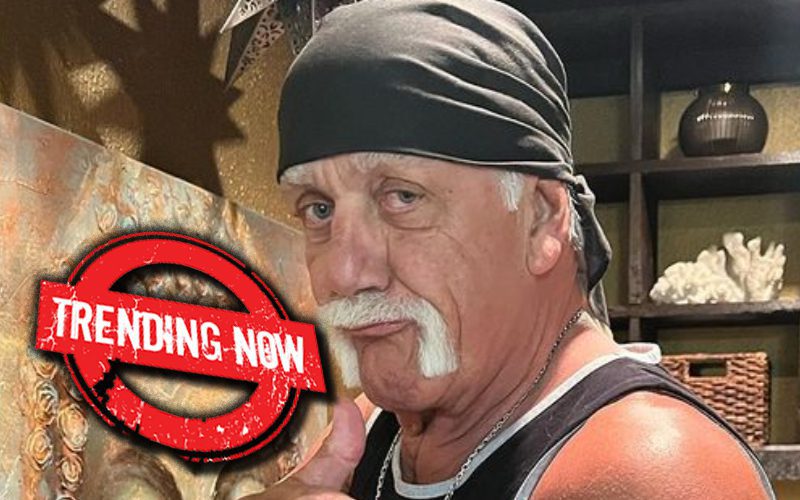 Hulk Hogan Continues Trending As Fans Won’t Stop Burying Him