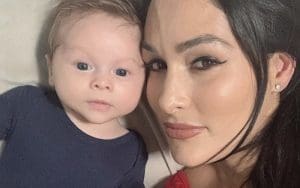 Nikki Bella Is Returning At WWE Royal Rumble For Her Son Nikki Bella Is Returning At WWE Royal Rumble For Her Son