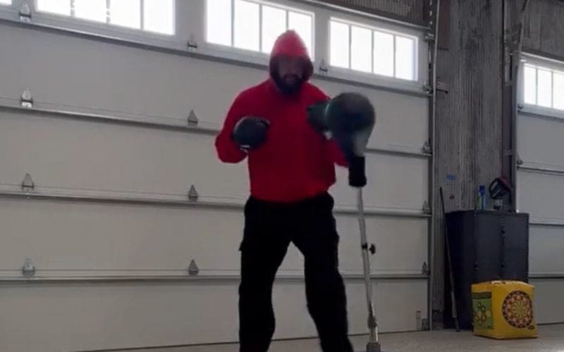 Adam Scherr Shows Off His Boxing Skills In New Video