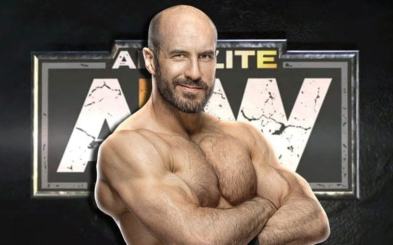 Doubt Over Cesaro Joining AEW’s Crowded Roster