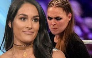 Nikki Bella Explains How Ronda Rousey Is Different From Other WWE Superstars Nikki Bella Explains How Ronda Rousey Is Different From Other WWE Superstars