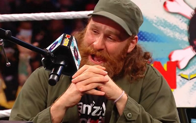 Sami Zayn’s Current WWE Gimmick Has A Lot Of His Real-Life Character