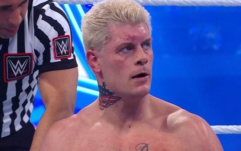 Cody Rhodes Thinks Divide Between AEW & WWE Fanbase Is His Fault