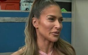 Kelly Kelly Promises To Wrestle Again In WWE