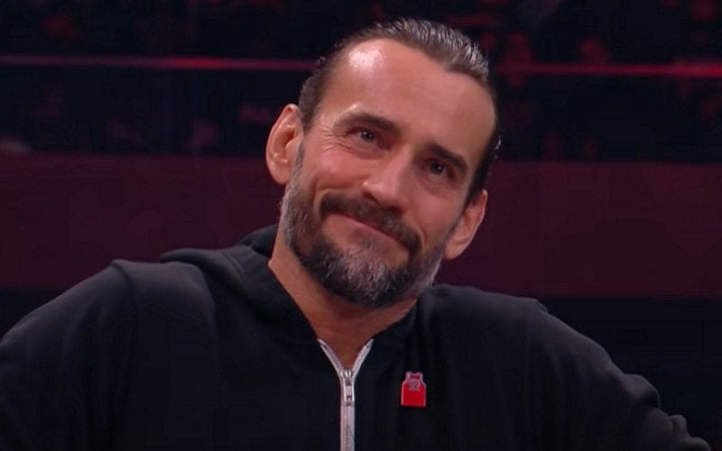 CM Punk Might Not Leave Pro Wrestling After All