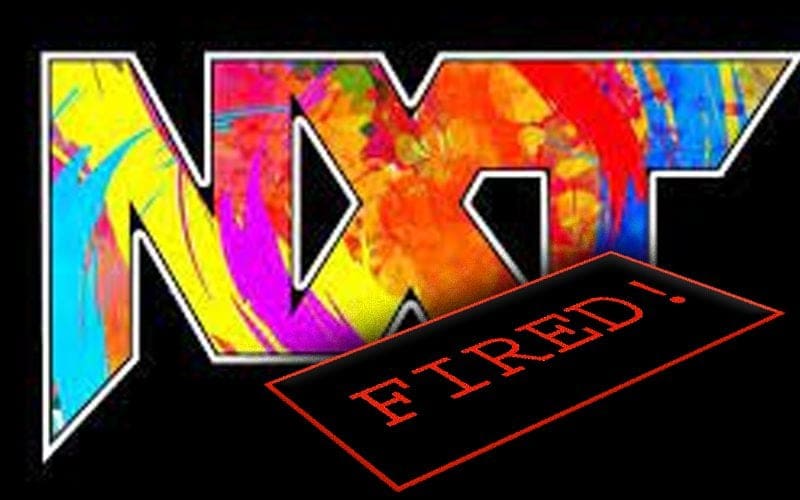 WWE Had Different Name On Original NXT Release List