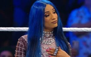 Sasha Banks Said She Gets 'The Respect She Deserves' In WWE Before RAW Walk Out