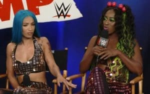 Sasha Banks & Naomi Considered ‘Diva Marks’ Within WWE After Raw Walkout Sasha Banks & Naomi Considered ‘Diva Marks’ Within WWE After Raw Walkout