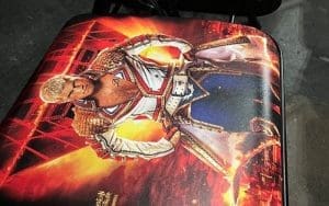 WWE Hell In A Cell Front Row Fan Souvenir Seats Revealed WWE Hell In A Cell Front Row Fan Souvenir Seats Revealed