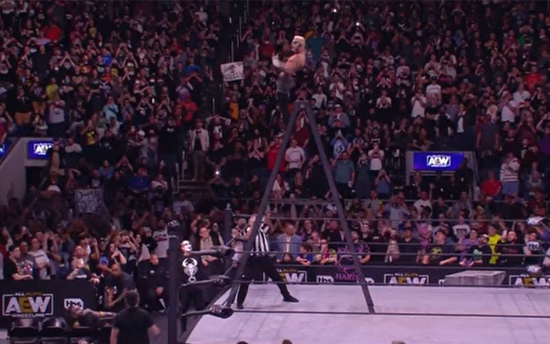 Darby Allin Expected Insane Ladder Spot Would Send Him To The Hospital