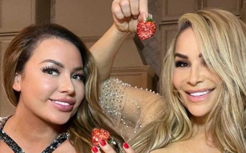 Natalya And Sister Jenni Neidhart Add Sprinkles In Super Sweet Revealing Photo Drop