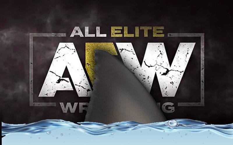 AEW Set For Collaboration With Discovery’s ‘Shark Week’