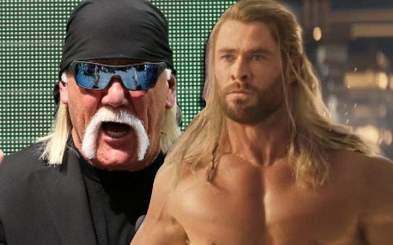 Hulk Hogan Biopic Could Be In Jeopardy