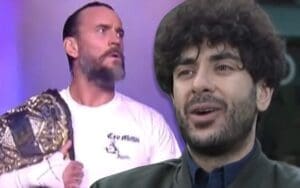 Tony Khan Refuses To Comment On CM Punk’s Potential Hometown Return At AEW All Out Tony Khan Is Optimistic About CM Punk's Return Timetable After Surgery