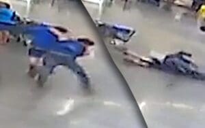 NWA Star Tackles Man Who Robbed Natalia Markova On Flight