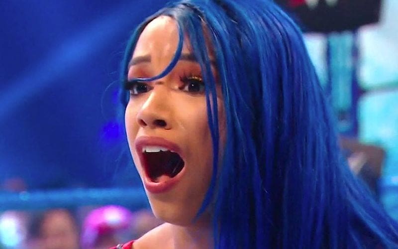 Sasha Banks Name Was Dropped During Awkward Botch In Women’s Money In The Bank Ladder Match