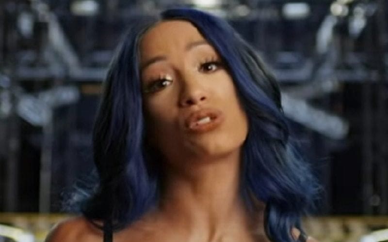 Sasha Banks Reveals Huge Goal For Next Year Amidst WWE Absence