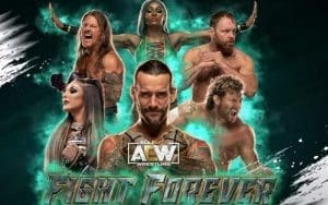 AEW Releases New Information On 'Fight Forever' Video Game