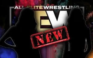 AEW's Latest Trademark May Point To New Women's Wrestling Series