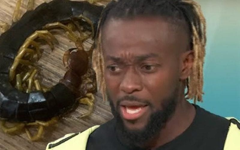 Kofi Kingston Horrified To Discover Giant Centipede In His Home