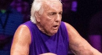 Ric Flair Has No Real Plan To Wrestle Again