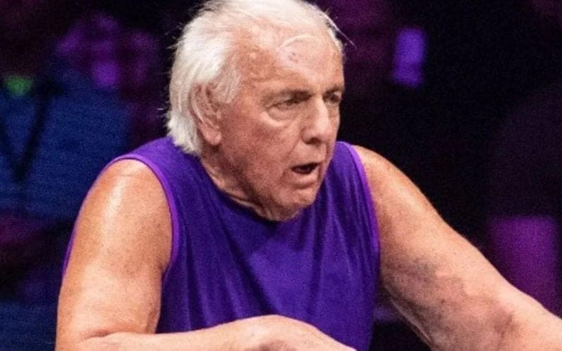 Ric Flair Admits He Fell Asleep During Retirement Match