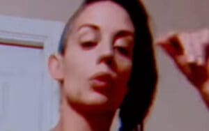 Kaitlyn Turns Up The Heat With Lingerie Video Drop