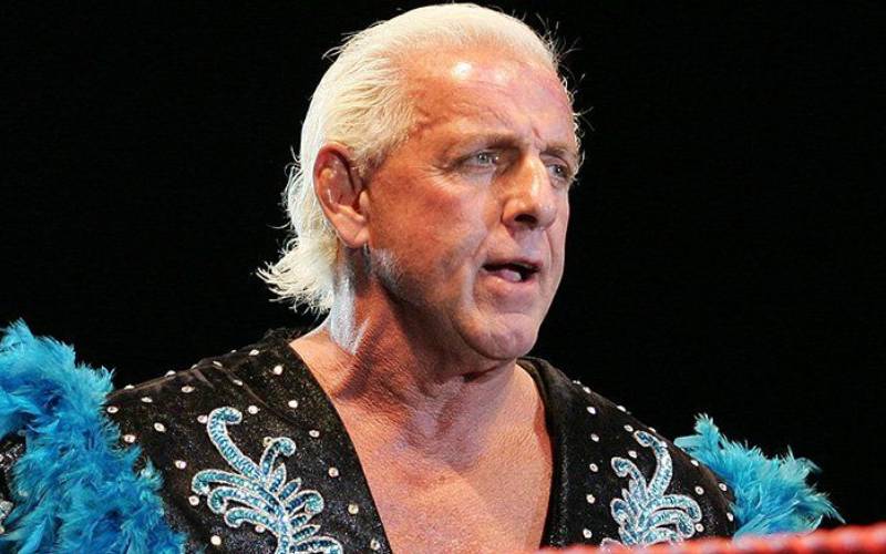 Signed Ric Flair Robes Going For Outrageous Money