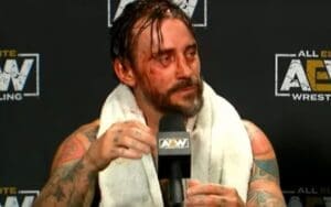 CM Punk Called 'Selfish & Arrogant' By WWE Stars After Backstage Fight With The Elite