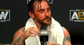CM Punk Called ‘Selfish & Arrogant’ By WWE Stars After Backstage Fight With The Elite