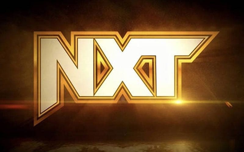 WWE NXT Results Coverage, Reactions and Highlights for August 13, 2024