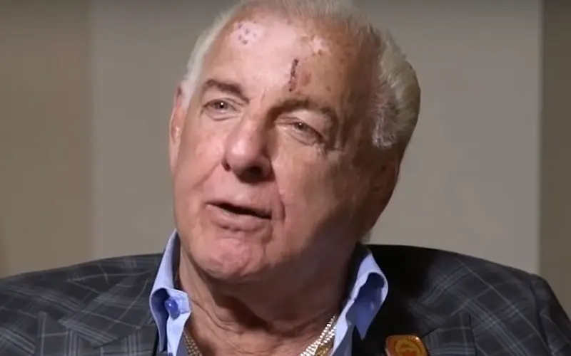 Ric Flair Punched Mick Foley Backstage After Refusing Handshake