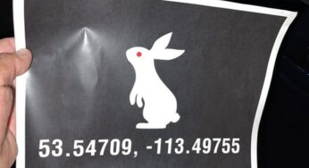 WWE Creative Has Been Hands-Off Of The White Rabbit Easter Eggs