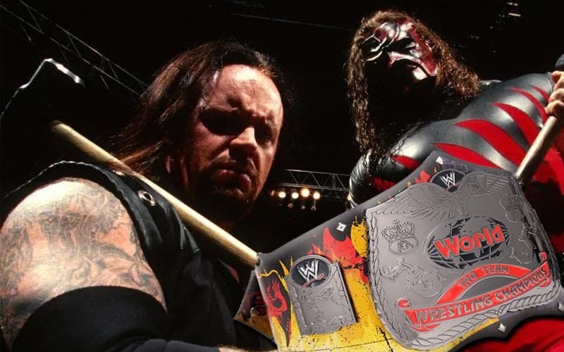 WWE Selling Brothers Of Destruction Replica Tag Team Titles