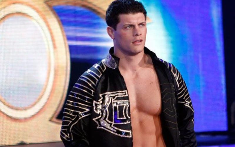 Cody Rhodes Called Out For Entitled Behavior In His Early WWE Days