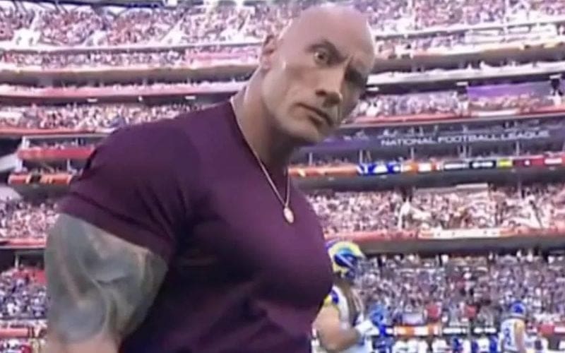 Complete List Of Brands Dwayne ‘The Rock’ Johnson Owns