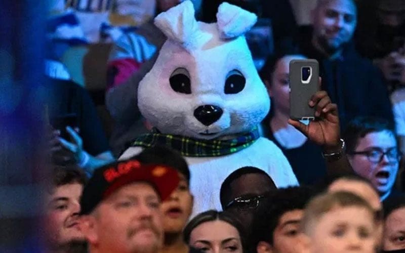 WWE Brought Extra Special Attention To White Rabbit After SmackDown