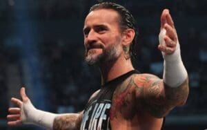 CM Punk Represented Big Time In 'Walking Dead' Series Finale