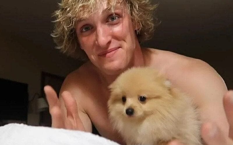 Logan Paul Tried To Hunt Down Coyotes That Killed His Dog