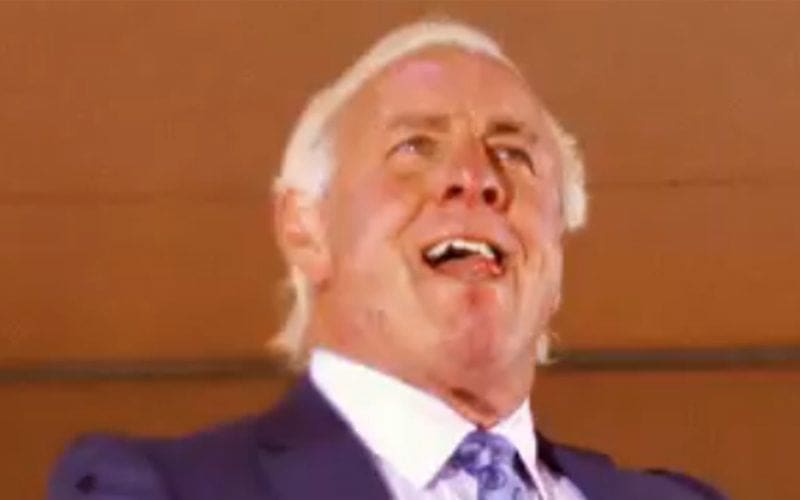 Ric Flair’s Role Cast In A24’s ‘The Iron Claw’ Revealed