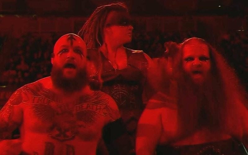 Sarah Logan Returns to WWE with The Viking Raiders