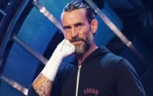 CM Punk’s AEW Return Is ‘Essentially Happening’ Triple H Says He Would Have 'A Conversation' With CM Punk